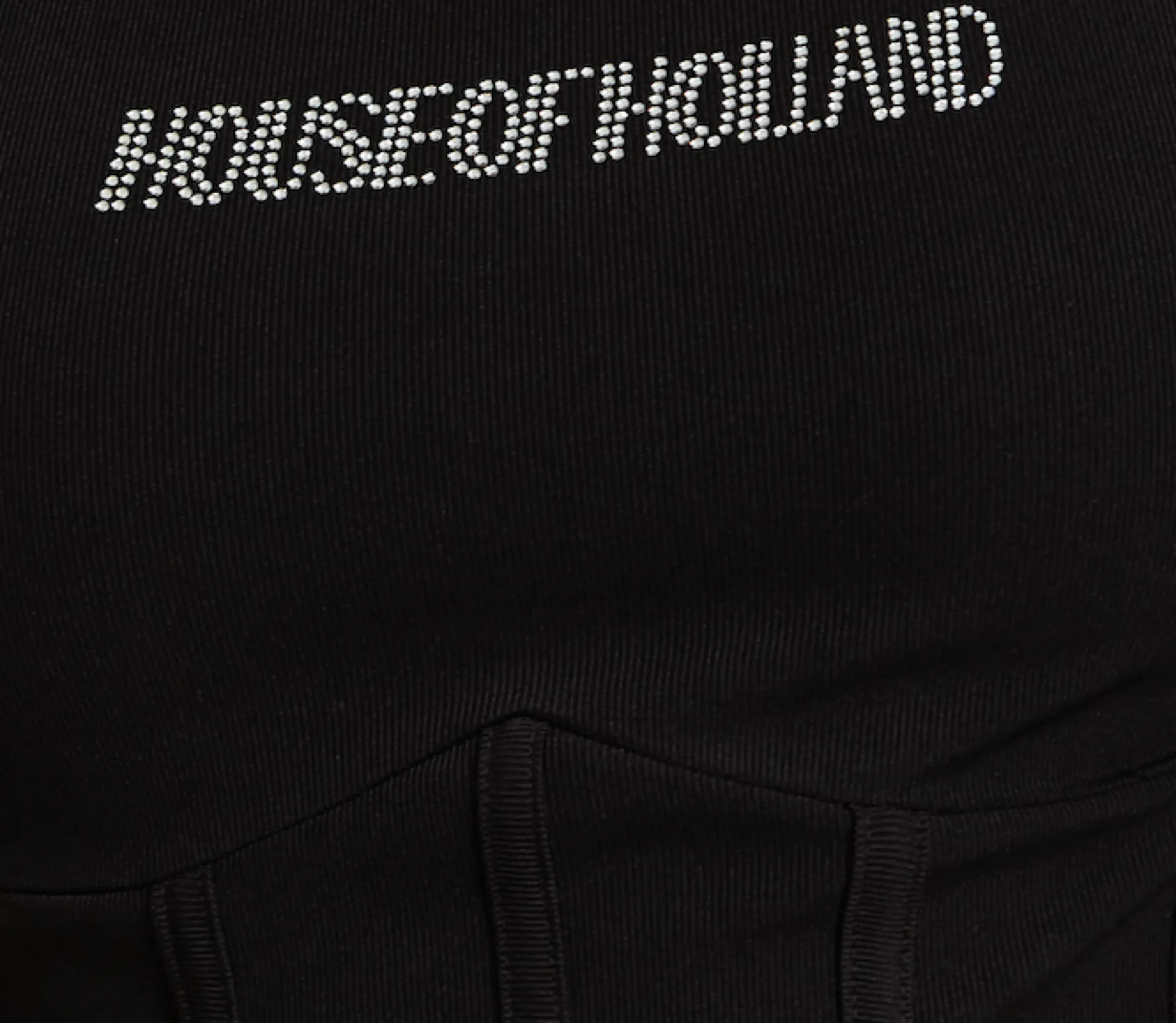 House Of Holland Corset Crop Top In Black