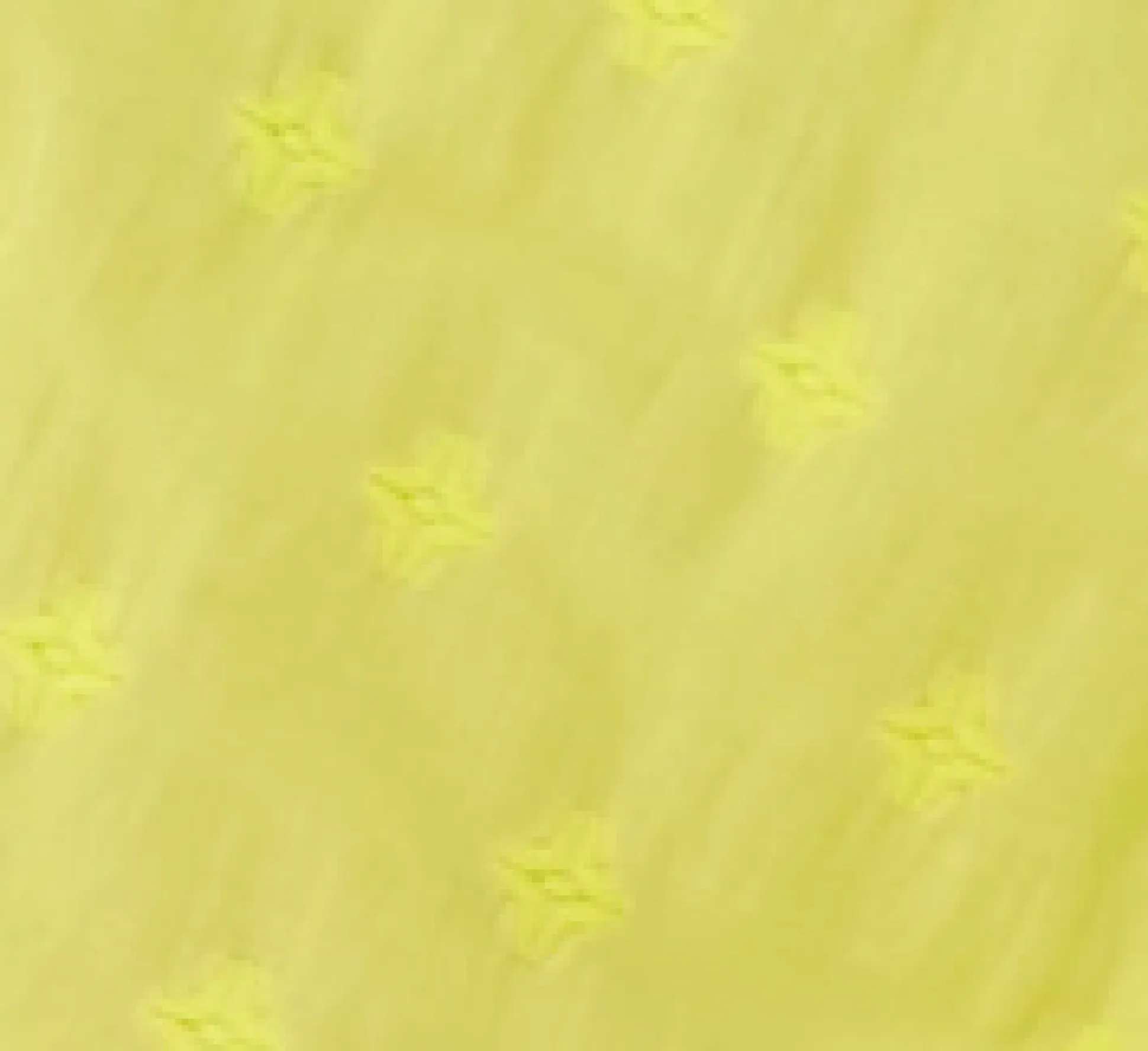 House of Holland Embroidered Yellow Cotton Shirt