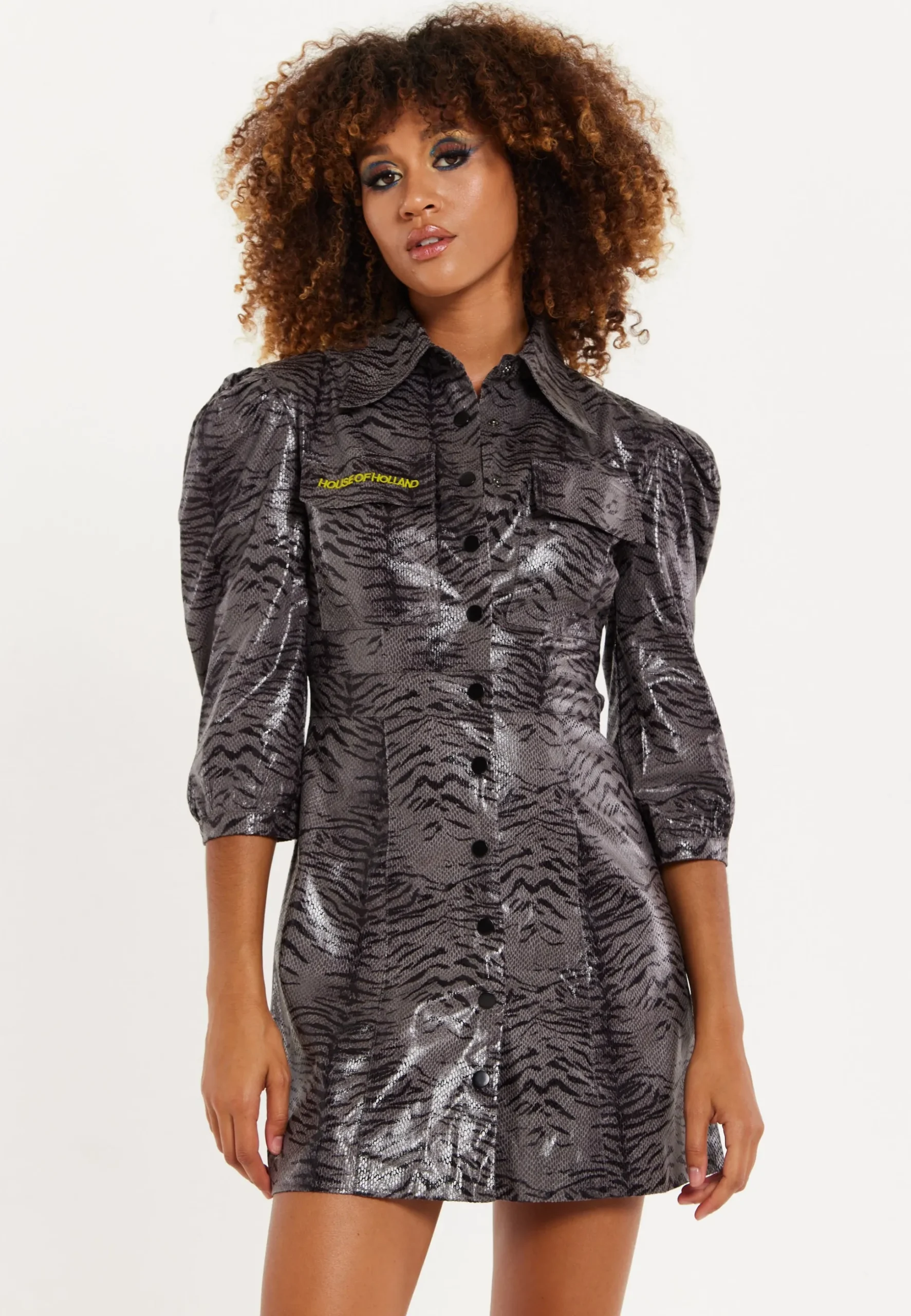 House Of Holland Mini Dress in Grey Wet Look Zebra Stripe