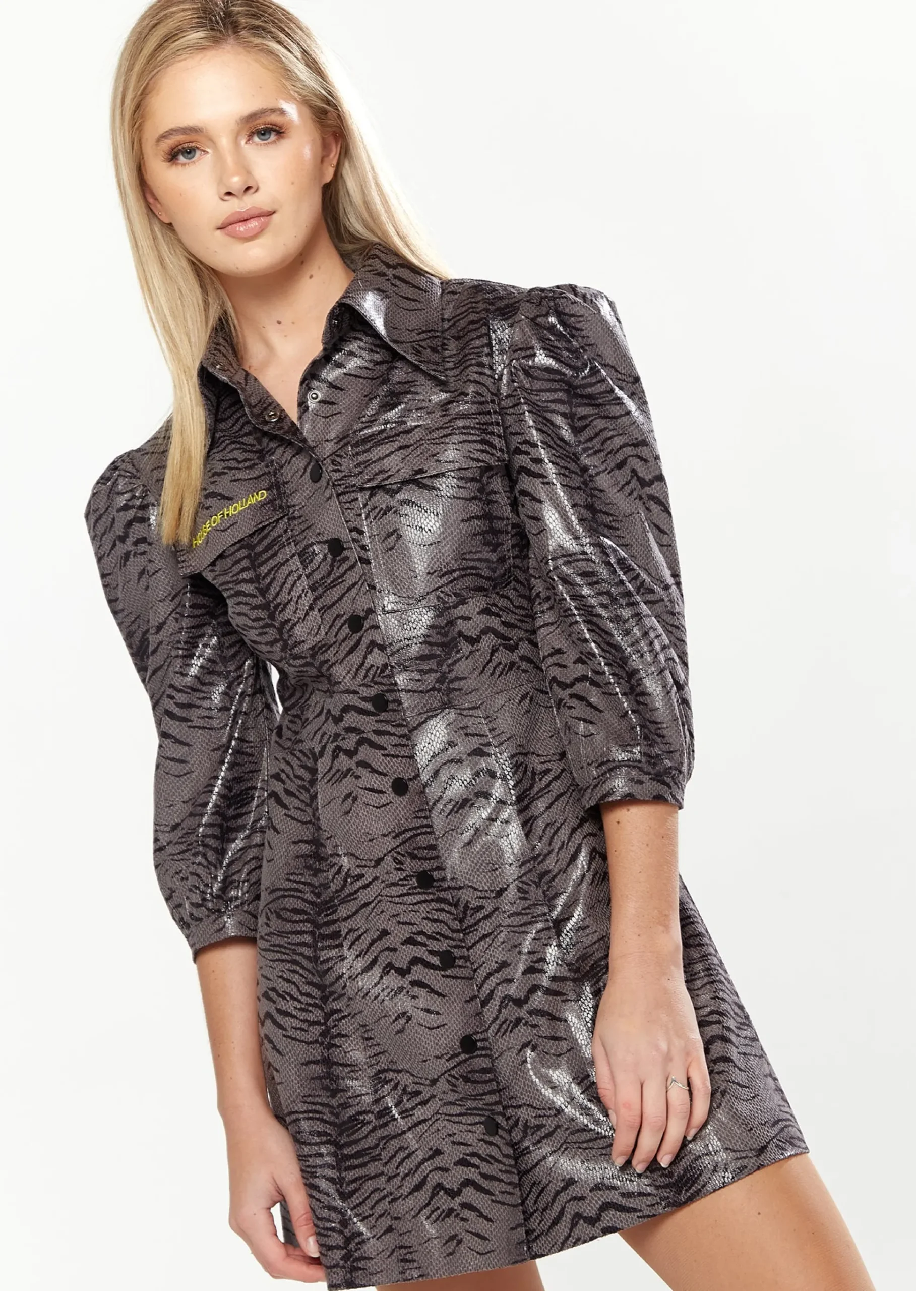 House Of Holland Mini Dress in Grey Wet Look Zebra Stripe