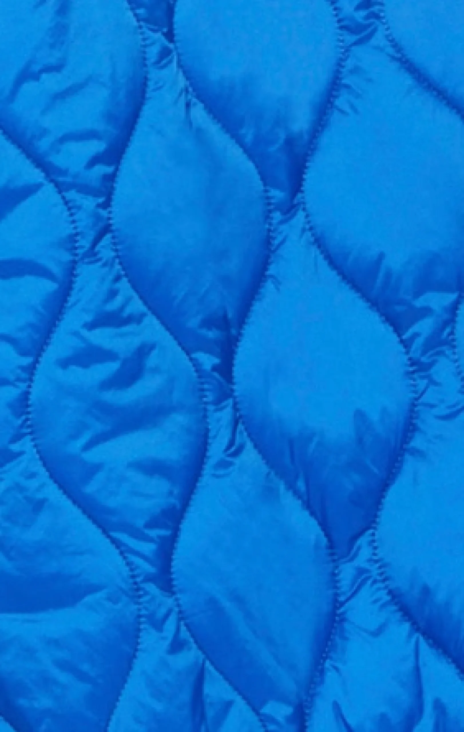 House Of Holland Quilted Jacket In Blue