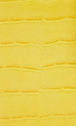 House Of Holland Small Crossbody Bag In Yellow And White With Printed
