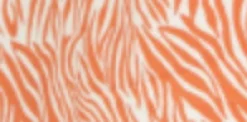 House of Holland Zebra Print Shirt Dress