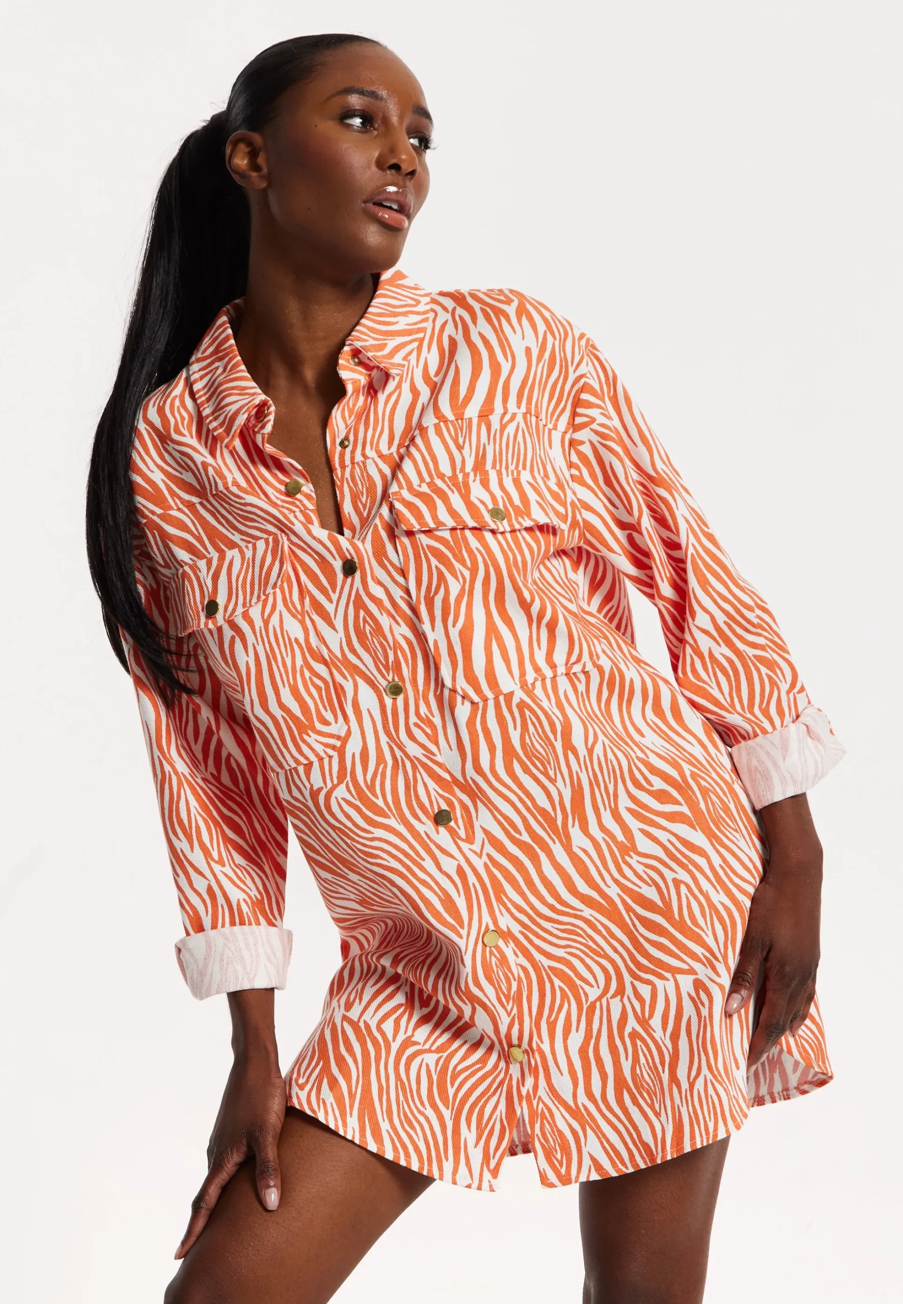 House of Holland Zebra Print Shirt Dress